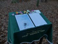 ein Bild aus dem Album