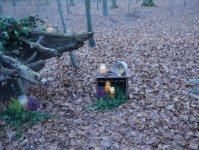 ein Bild aus dem Album