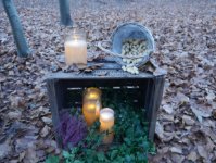 ein Bild aus dem Album